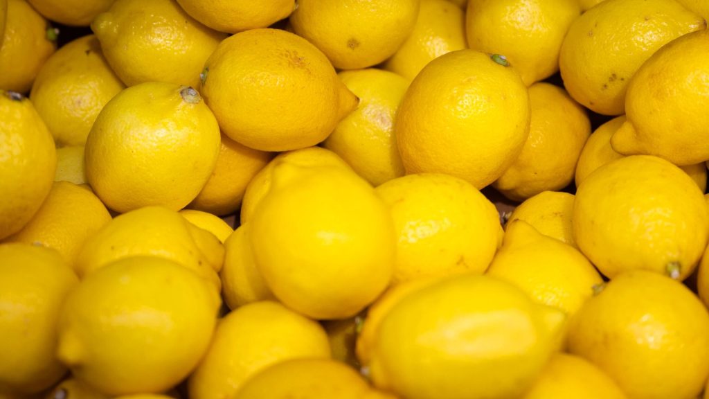 1754496130_015930781890_2560x1440_80_0_0_5b8acaa92349680e3eb311eb1949ffc9